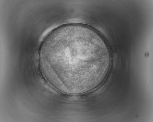 X0000112811358200909111249