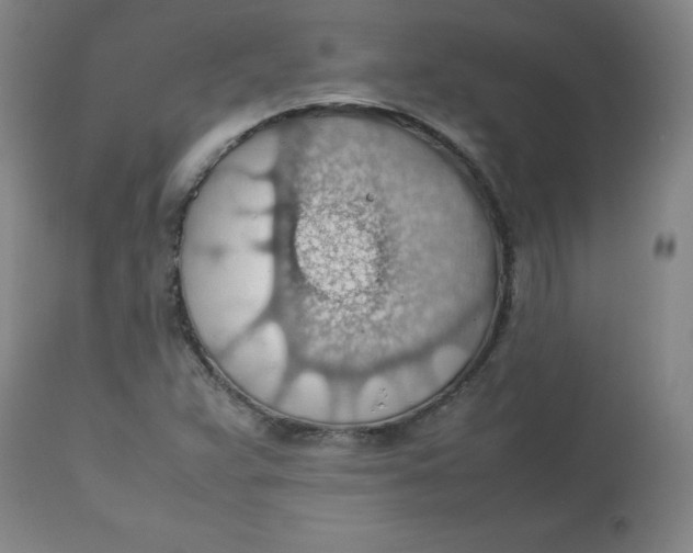 X0000112811359200909111249