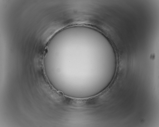 X0000112811361200909111249