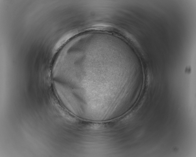 X0000112811362200909111249