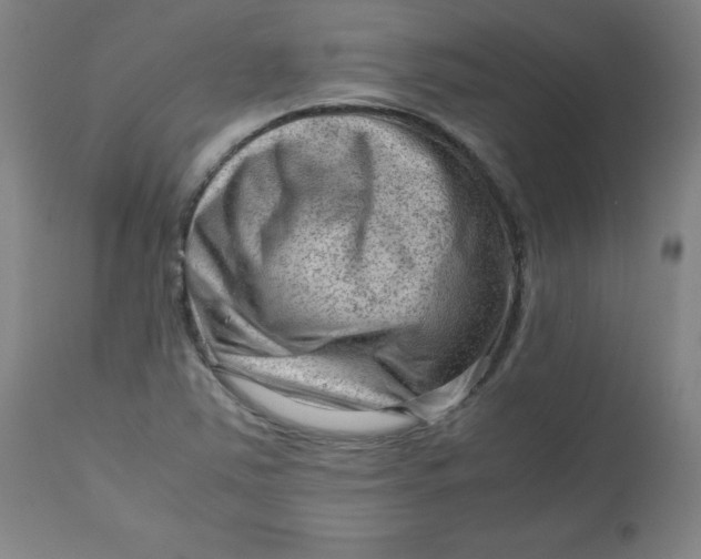 X0000112811363200909111249