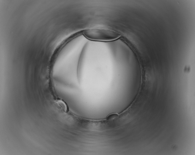 X0000112811364200909111249