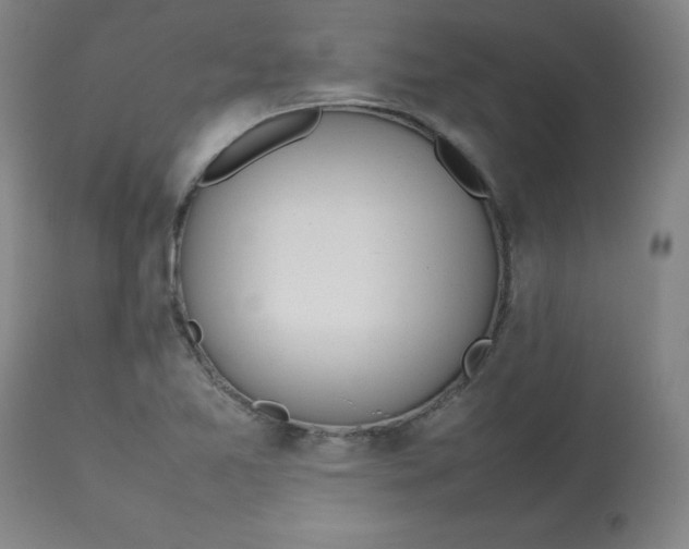 X0000112811365200909111249