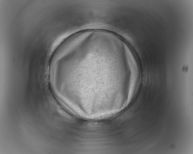 X0000112811366200909111249