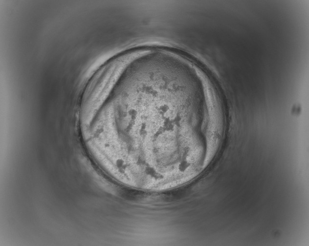 X0000112811367200909111249