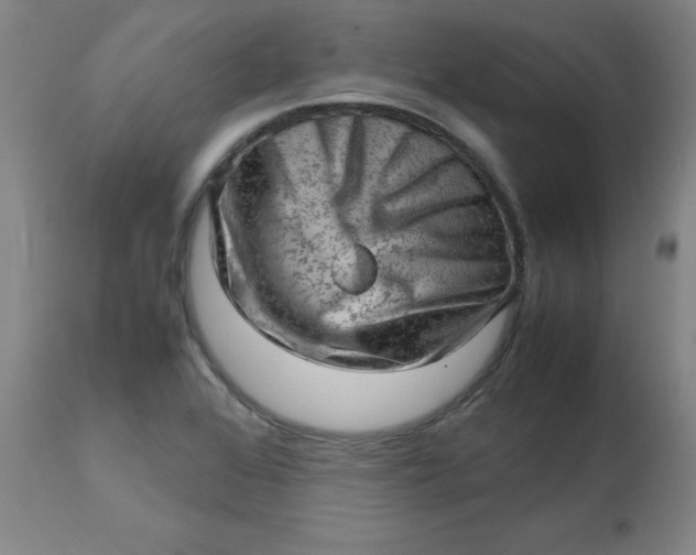 X0000112811368200909111249