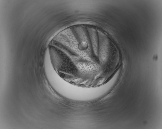 X0000112811369200909111249