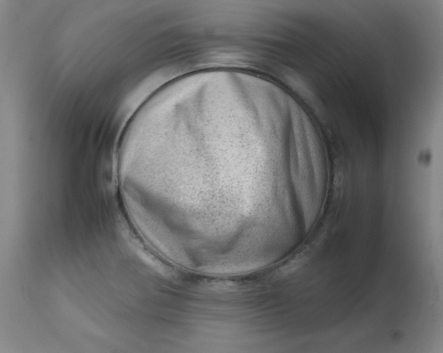 X0000112811370200909111249