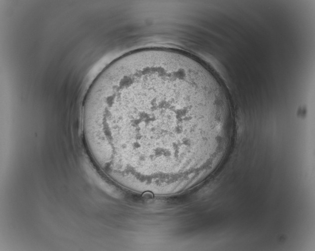 X0000112811371200909111249