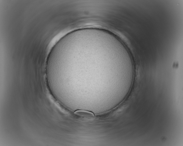 X0000112811373200909111249