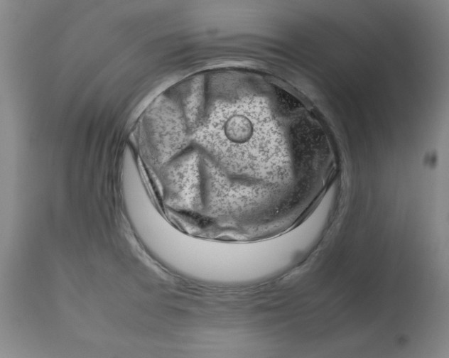 X0000112811377200909111249