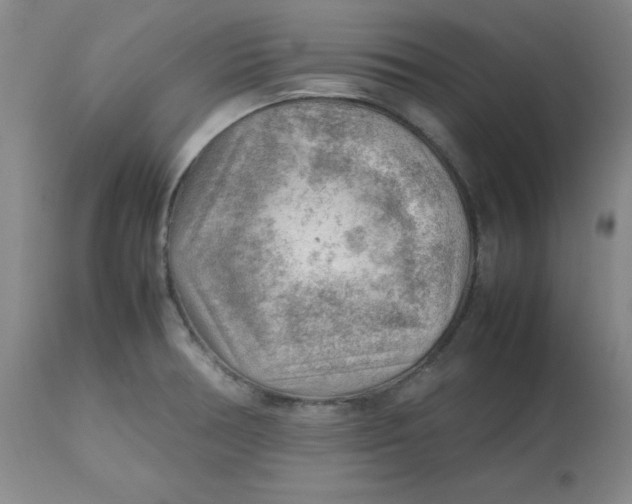 X0000112811378200909111249