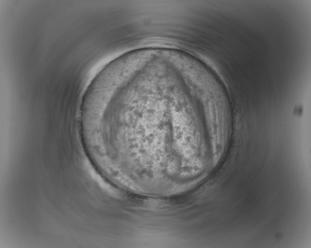 X0000112811379200909111249