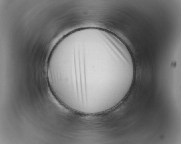 X0000112811380200909111249