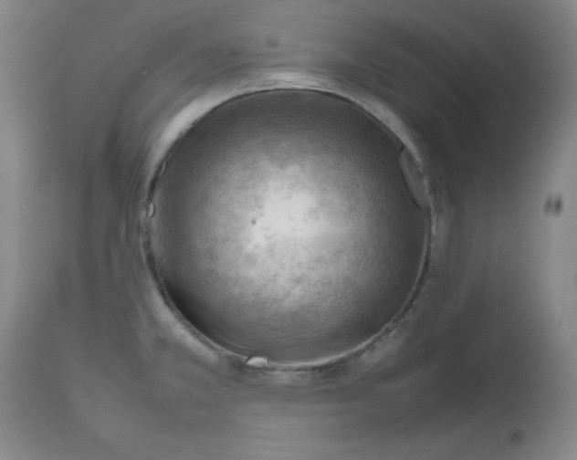 X0000112811381200909111249