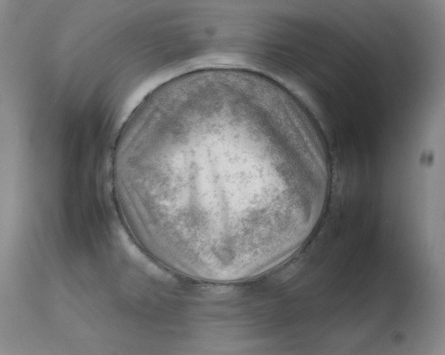 X0000112811382200909111249