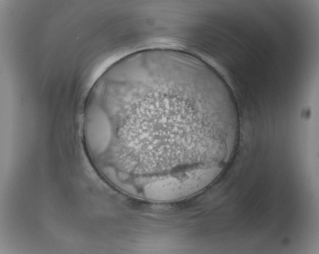 X0000112811383200909111249