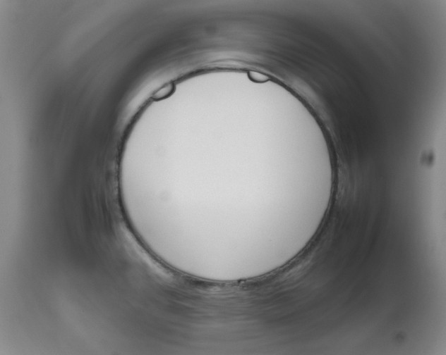 X0000112811384200909111249