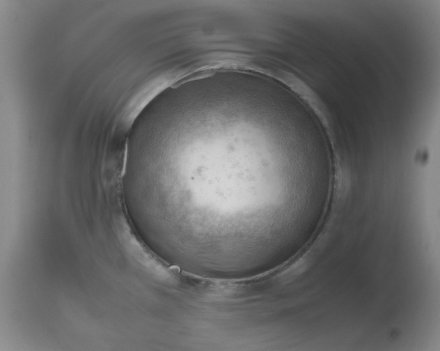 X0000112811385200909111249