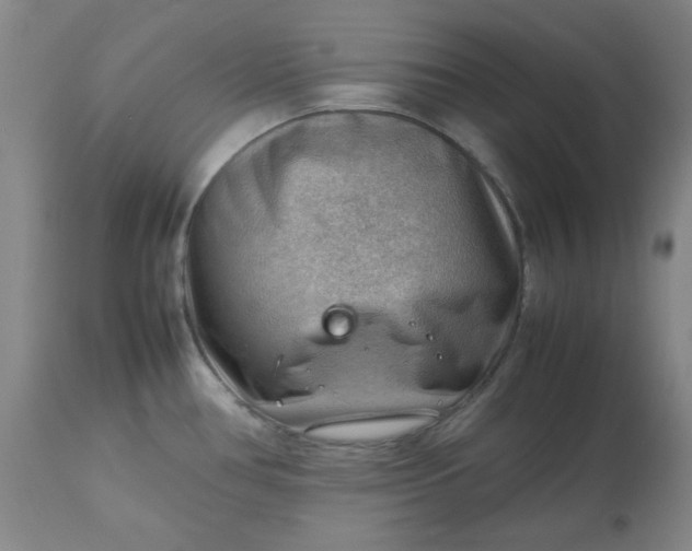 X0000112811386200909111249