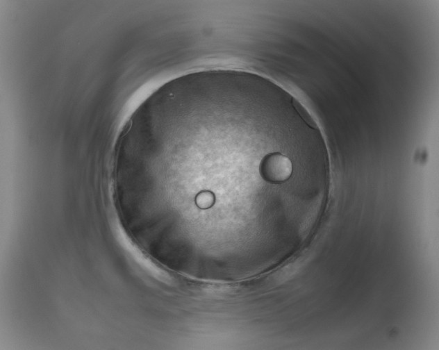 X0000112811389200909111249