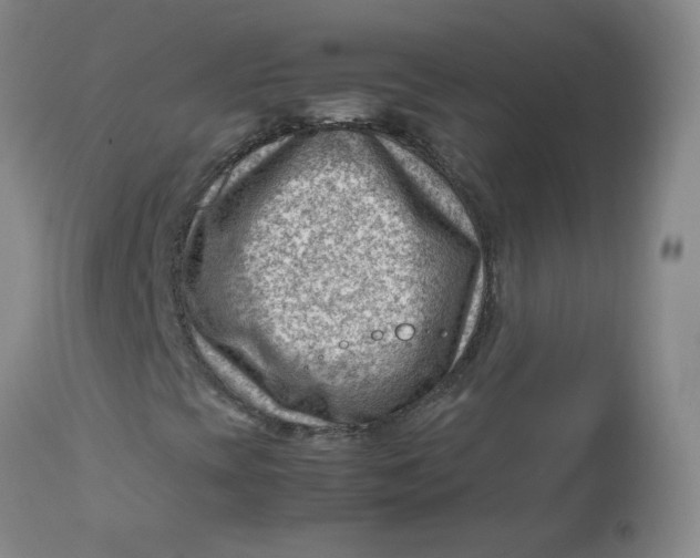 X0000112811393200909111248