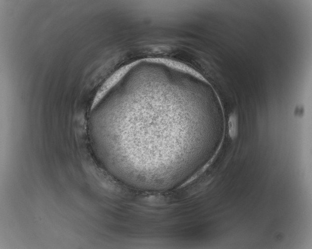 X0000112811395200909111248