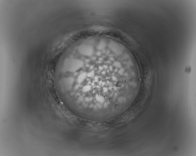 X0000112811397200909111248