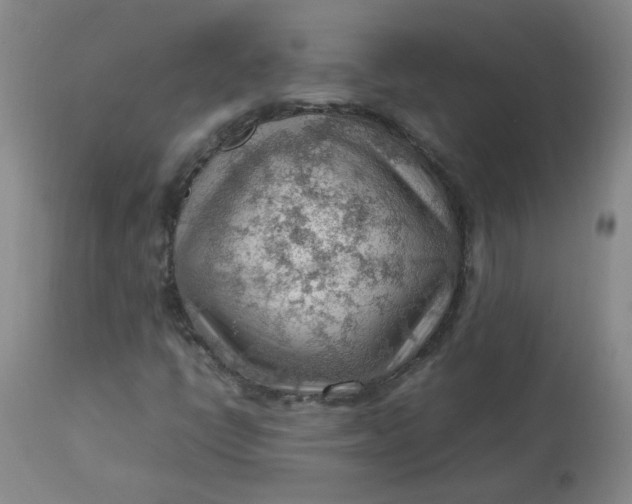 X0000112811398200909111248