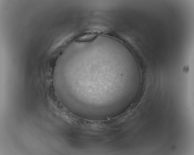 X0000112811399200909111248