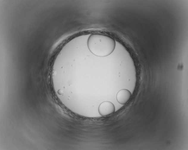 X0000112811400200909111248