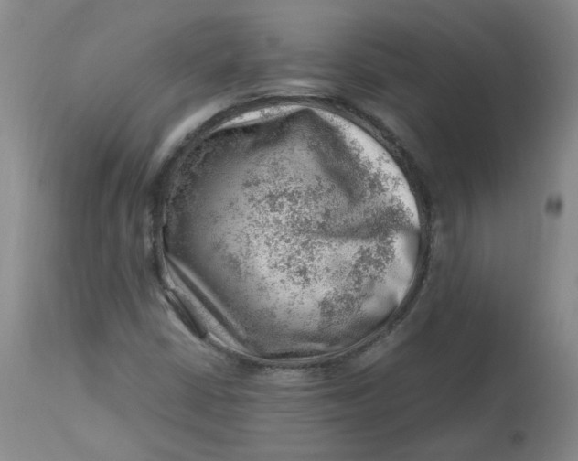 X0000112811402200909111248