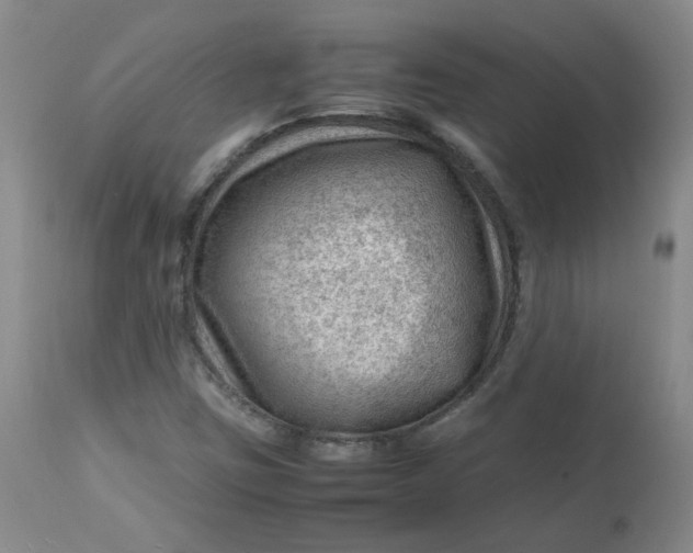 X0000112811403200909111248