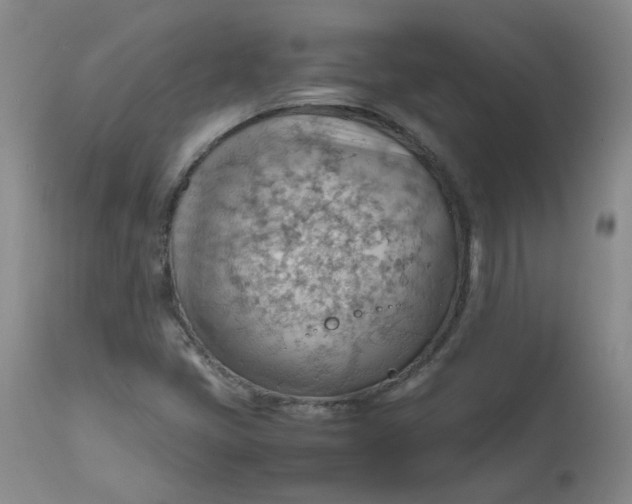 X0000112811405200909111248