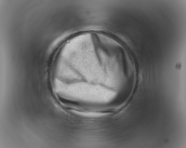 X0000112811406200909111248