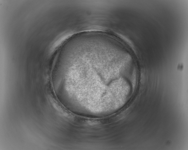 X0000112811407200909111248