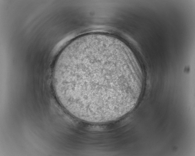 X0000112811411200909111249