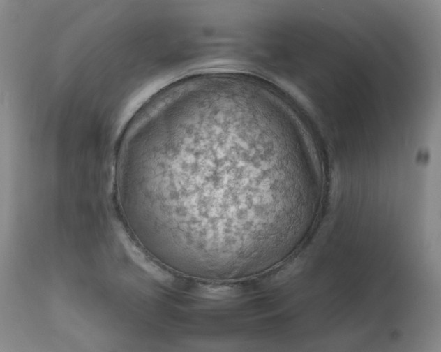 X0000112811413200909111249