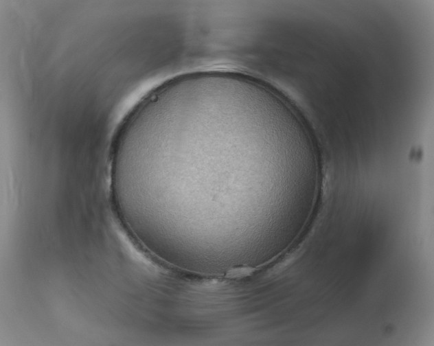 X0000112811414200909111249