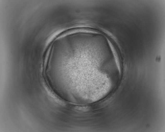 X0000112811415200909111249