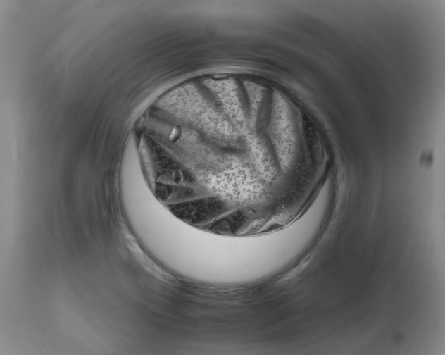 X0000112811417200909111249