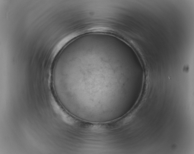 X0000112811418200909111249