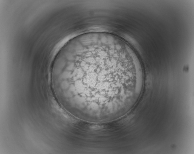 X0000112811419200909111249