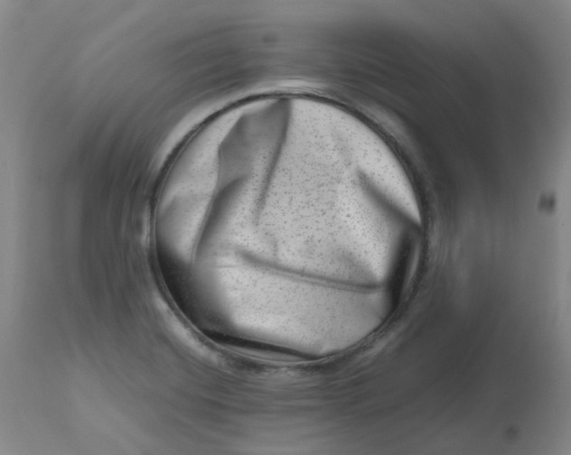 X0000112811420200909111249