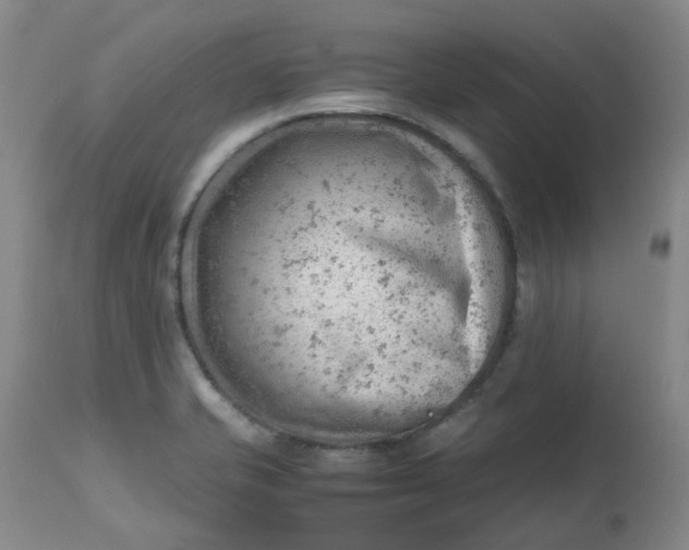 X0000112811421200909111249