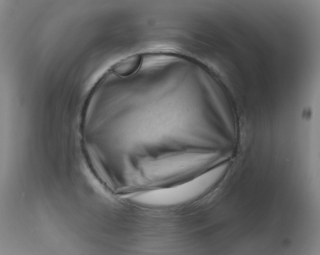 X0000112811422200909111249