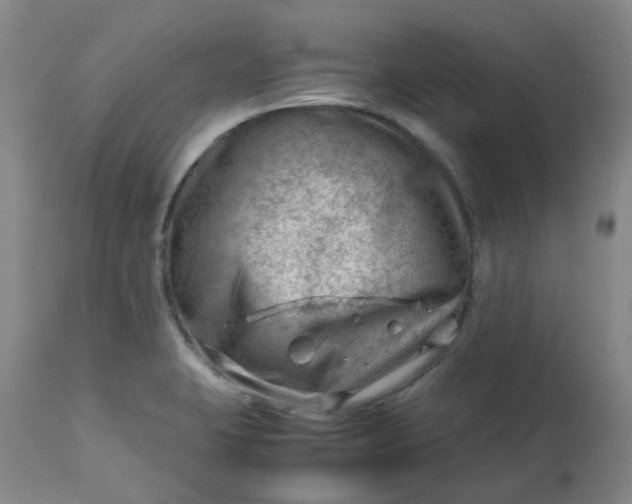 X0000112811423200909111249