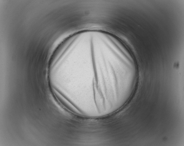 X0000112811424200909111249