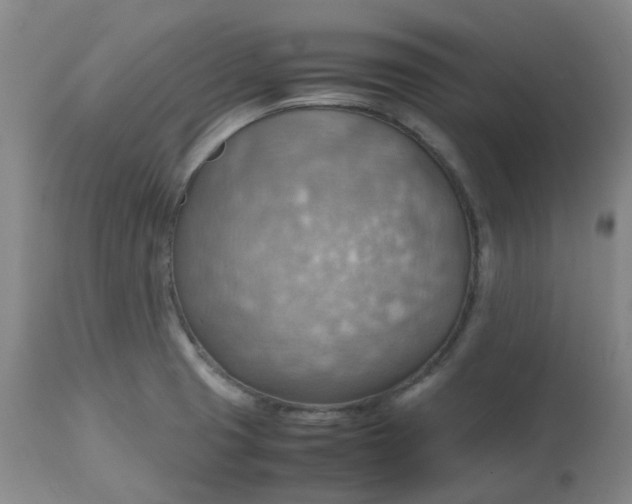 X0000112811425200909111249