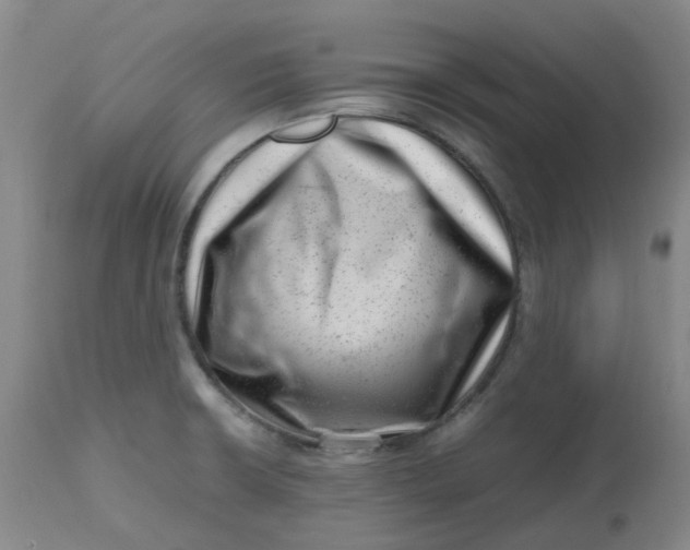 X0000112811426200909111249